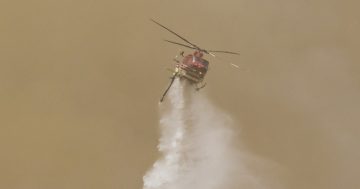 纳玛吉国家公园发生火灾