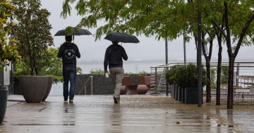 澳大利亚气象局宣布拉尼娜现象形成，堪培拉经历有记录以来最潮湿的十一月