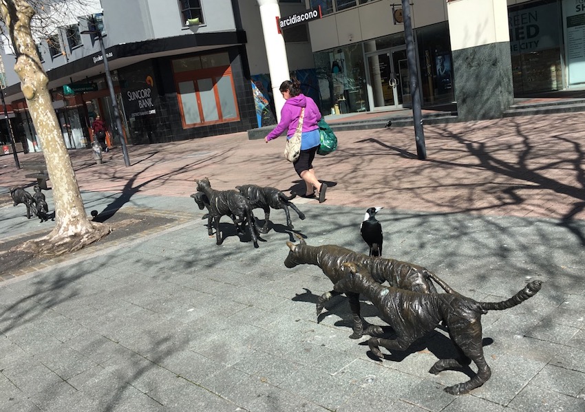堪培拉市中心雕塑背后的故事：披着睡衣的幽灵狗