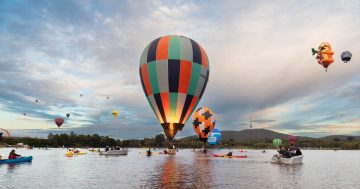 堪培拉热气球节将在明年迎来重大调整，公众将能看到更多热气球升空
