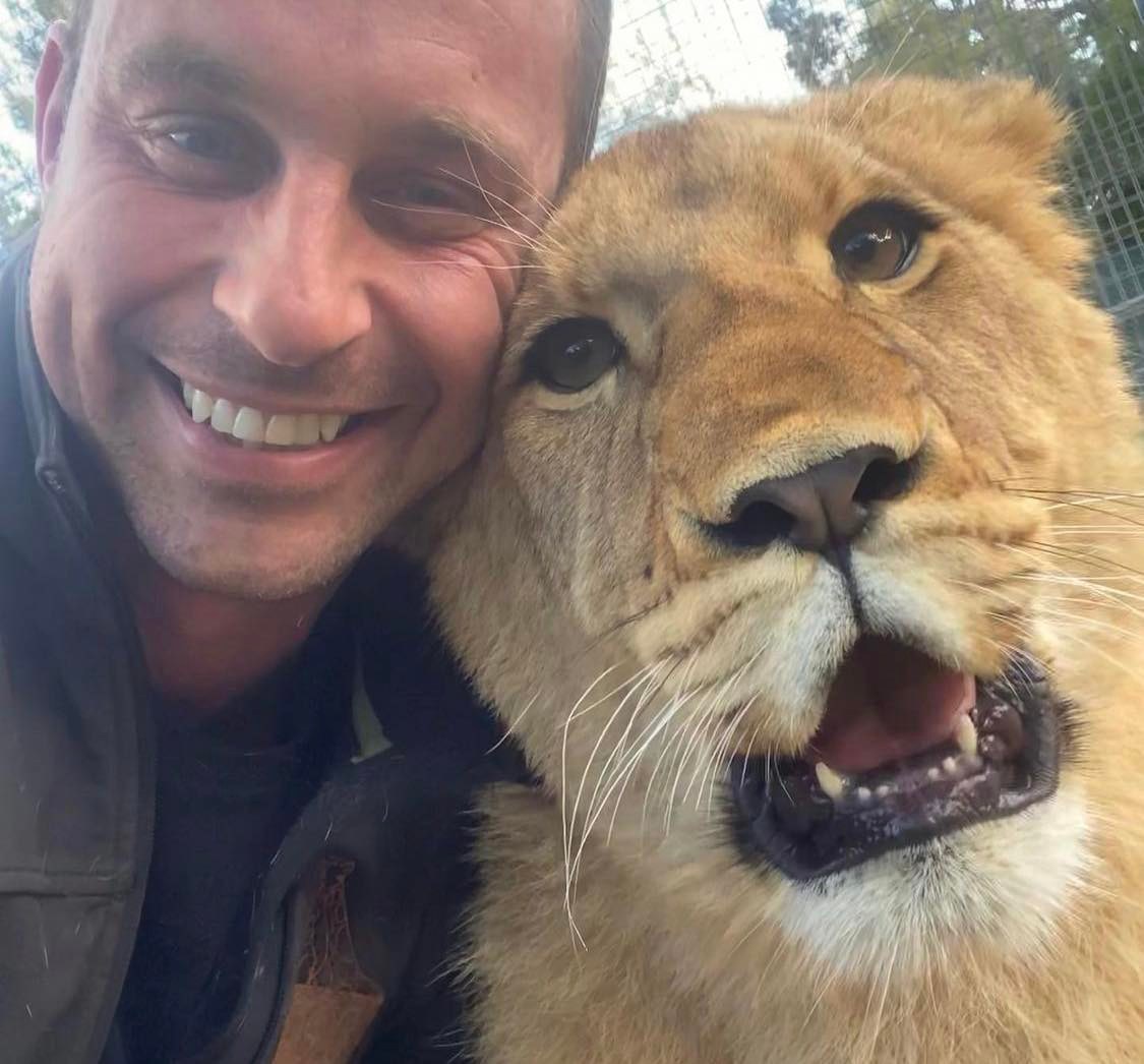 动物园管理员查德让母狮与兄弟在Mogo野生动物园团聚
