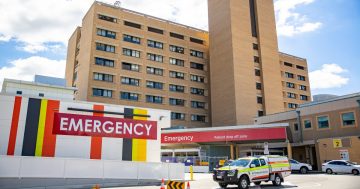 堪培拉疫情更新：ACT今日新增949例；全澳住院人数创新高