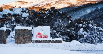 三名滑雪者从新州Thredbo缆车坠落后受伤