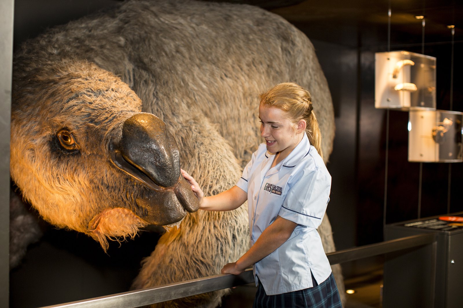 澳大利亚的巨型袋熊怎么了？堪培拉植物园活动探讨巨型动物的命运