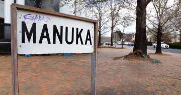 堪培拉标志性城区Manuka，为什么会有一个毛利名字？