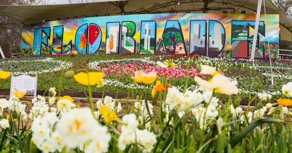 堪培拉Floriade花展又回来了，今年还有七大新玩法等你来解锁