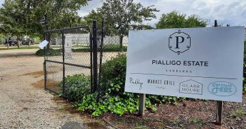 堪培拉Pialligo Estate后续：贷款方接管场地，员工和客户的未来情况仍不确定