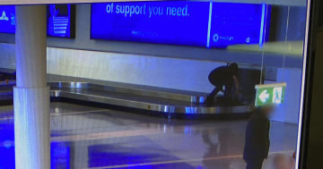 一人涉嫌进入堪培拉机场行李传送带被指控
