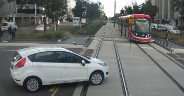 堪培拉交通部门发布汽车横穿轻轨监控录像，提醒车辆和行人注意安全