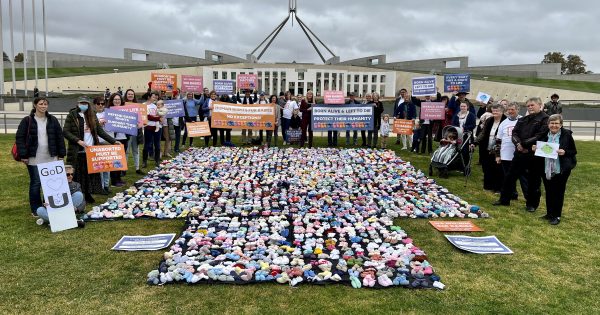 抗议者表示，摆在国会草坪上的超八百双针织鞋代表“任其死亡”的活产婴儿