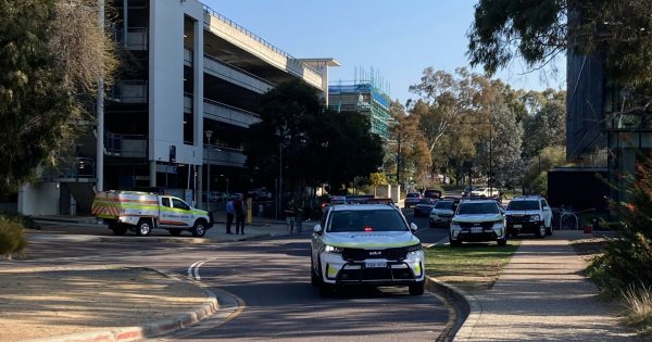 已更新：澳国立校园内发生刺伤事件，一名男子被控两项谋杀未遂罪