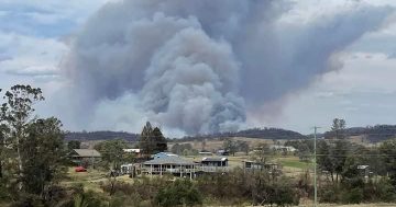 已更新：丛林大火失控，新州Bermagui居民注意就地避难