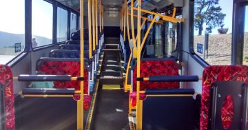 你觉得堪培拉公交的乘坐体验怎么样？澳国立的研究员希望了解大家的看法