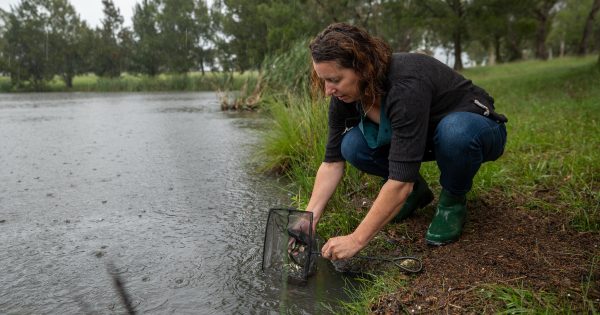 10年里，首都领地的自然保护法是否起到保护堪培拉生物多样性的作用？