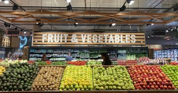堪培拉最便宜的果蔬在哪里？