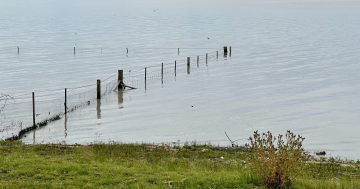 乔治湖的水位已经好久没有这么高了，原因是什么呢？