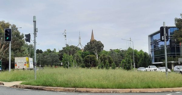 夏季暴风雨天气造成堪培拉路面坑洼和草丛生长，修理工作已恢复