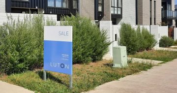 堪培拉三月小户型住宅价格上涨反映出房产市场稳定且供应良好