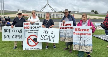 “净零排放是个谎言”：澳大利亚农民聚集在国会大厦前抗议可再生能源项目