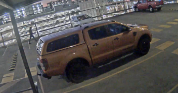 视频：一男子在堪培拉购物中心顶层停车场持刀抢劫女子车辆