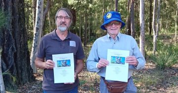无人机在新州Eurobodalla自然栖息地发现考拉