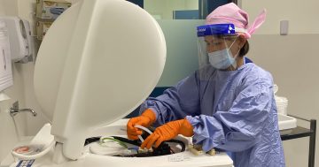 北堪培拉医院新的内窥镜套件帮助解决手术积压问题