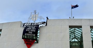 亲巴勒斯坦抗议者攀爬国会大厦房顶被捕