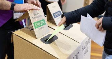 选票丢失影响澳大利亚选举委员会计票流程