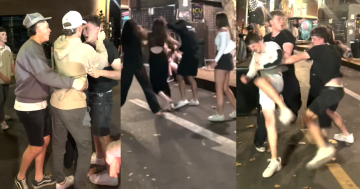首都领地警方寻找斗殴事件目击者