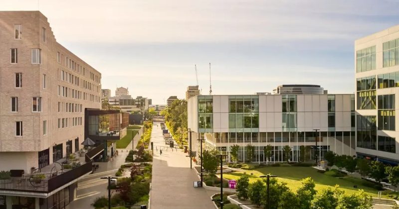 澳大利亚国立大学、堪培拉大学、伍伦贡大学和查尔斯特大学世界排名均下滑