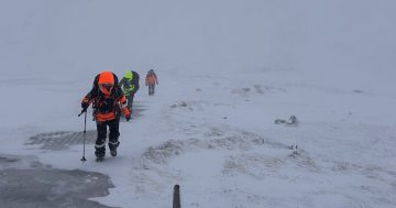 科修斯科山徒步者险丧生，新州警方呼吁旅行者加强安全防护措施