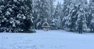 新州雪谷雕塑步道启动冬季摄影大赛