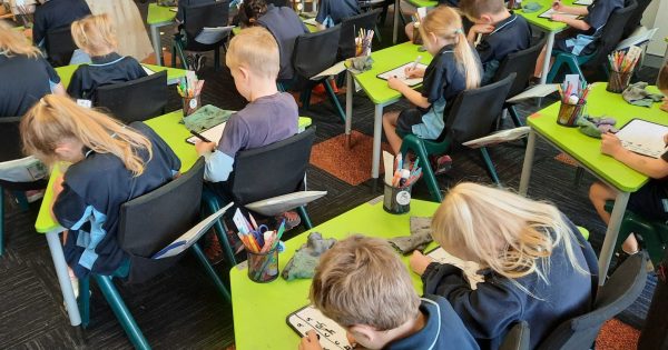 学校预算危机：首都领地教育部长宣布对资源进行独立审查