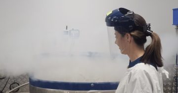 堪培拉庆祝骨髓移植项目启动30周年