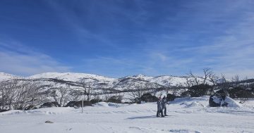 新州雪山地区迎来数年来最佳雪季