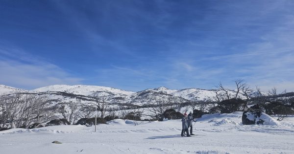 新州雪山地区迎来数年来最佳雪季