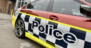 司机分心驾驶造成紧急车辆延误，首都领地紧急部门发出警告