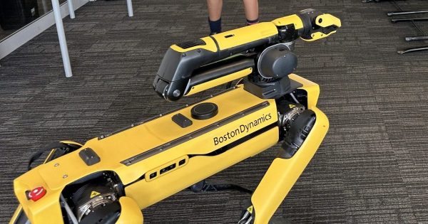 一只34万澳元的机器狗、210万澳元未缴养老金、赛马节支出：堪培拉Brindabella学院审计中还发现了什么？
