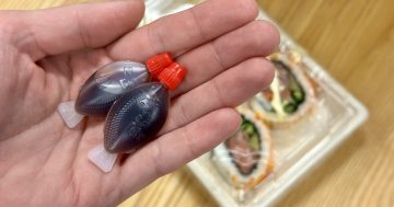 首都领地政府或考虑逐步淘汰塑料鱼型酱油包