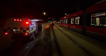堪培拉一名行人遭轻轨撞击身亡