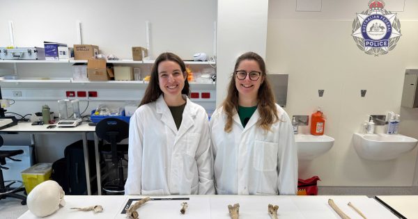 阁楼里有人骨？这是堪培拉犯罪现场调查员常接到的出警报告