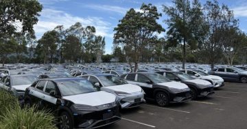 停车场能否拯救水上乐园？新州南海岸的这座公园正在寻找答案