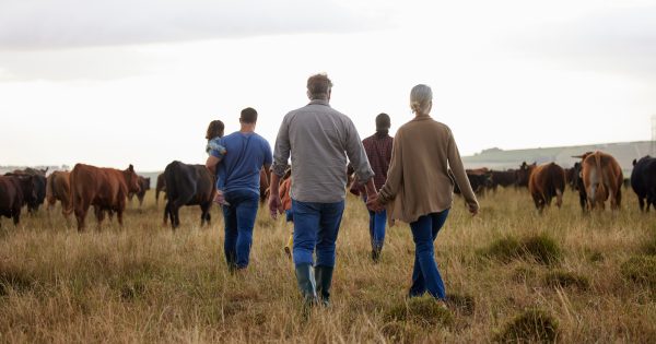 家族土地为何变成纷争场（以及如何避免）