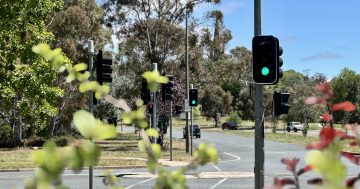 交通信号灯背后的科学原理：交叉路口为什么要设置红绿灯而非环岛