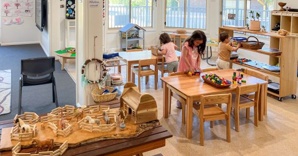 这名幼教工作者为何呼吁在新州东南地区增加教职员工