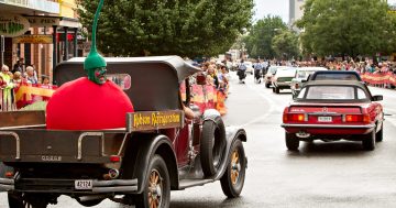 从后院小园到全国产业：新州Young樱桃节的由来