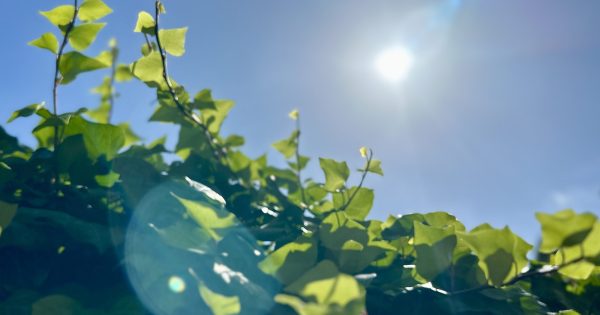 堪培拉初夏气温创下最冷记录，但高温天气即将到来