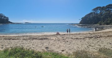 新州救援部门继续搜寻南海岸水域失踪男子