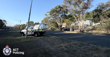 堪培拉长周末发生一起致命车祸，多名路人停车施救