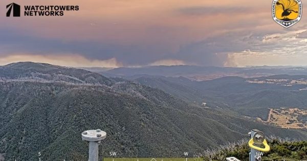 降雨即将到来，为新州东南部山火扑救工作带来新希望